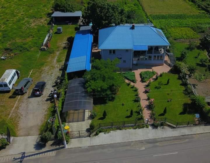 Casa Cu Trandafiri Murighiol Εξωτερικό φωτογραφία