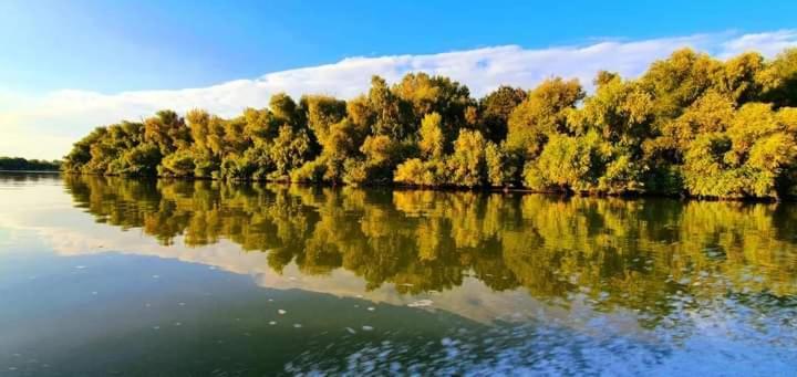 Casa Cu Trandafiri Murighiol Εξωτερικό φωτογραφία