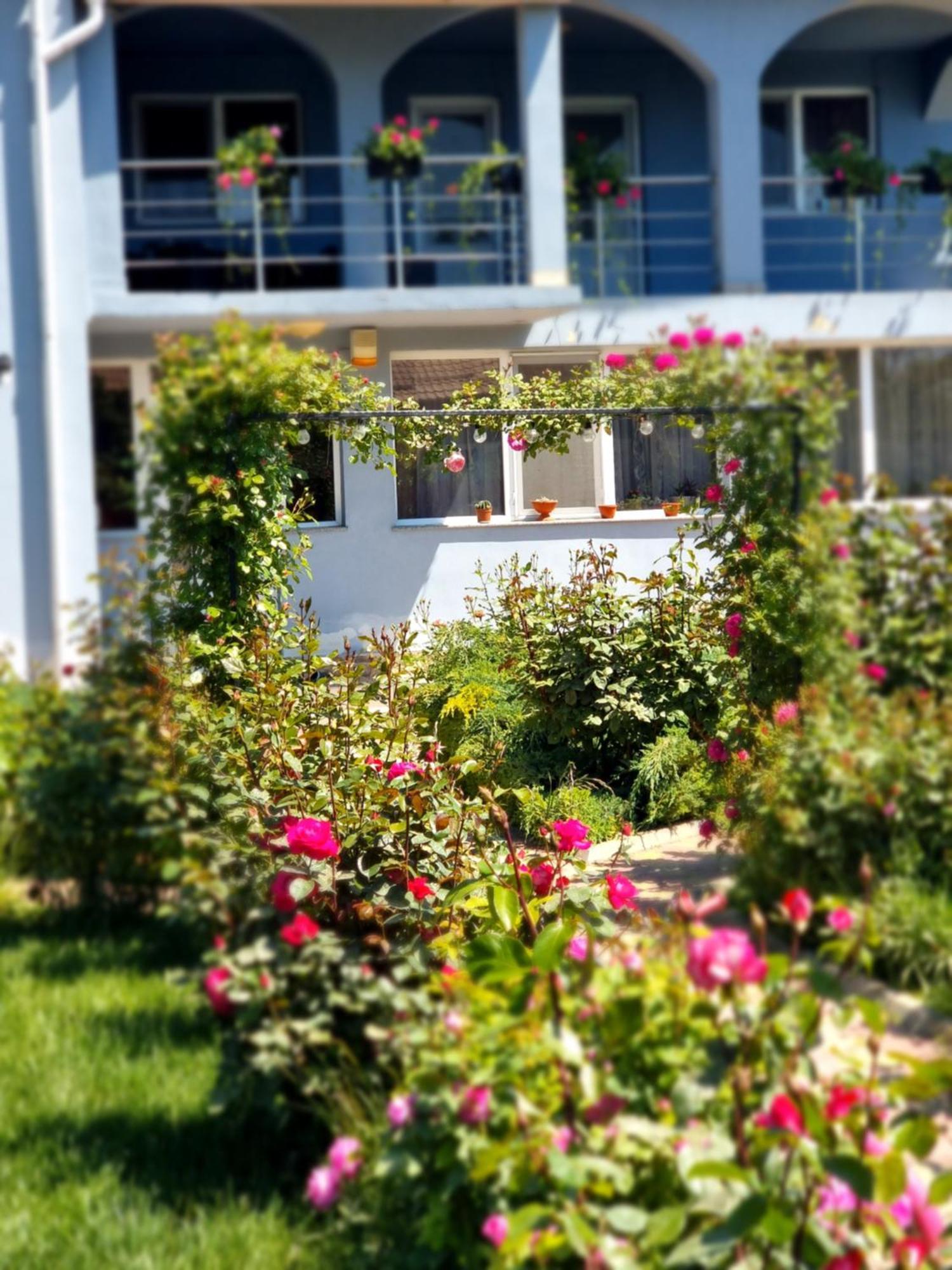 Casa Cu Trandafiri Murighiol Εξωτερικό φωτογραφία