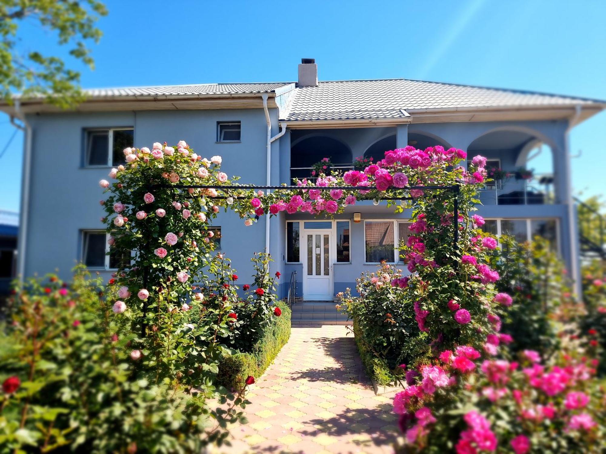 Casa Cu Trandafiri Murighiol Εξωτερικό φωτογραφία