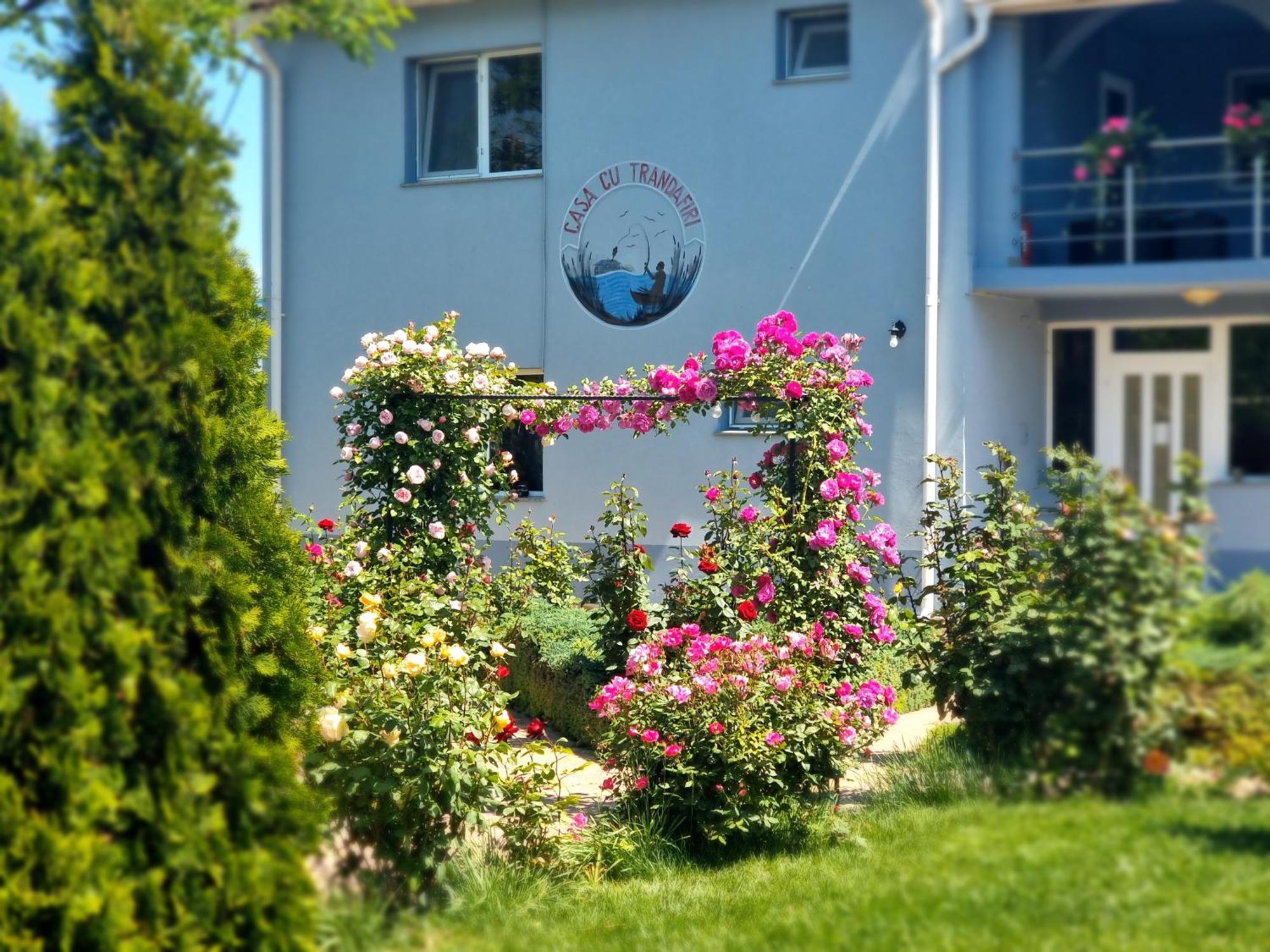 Casa Cu Trandafiri Murighiol Εξωτερικό φωτογραφία