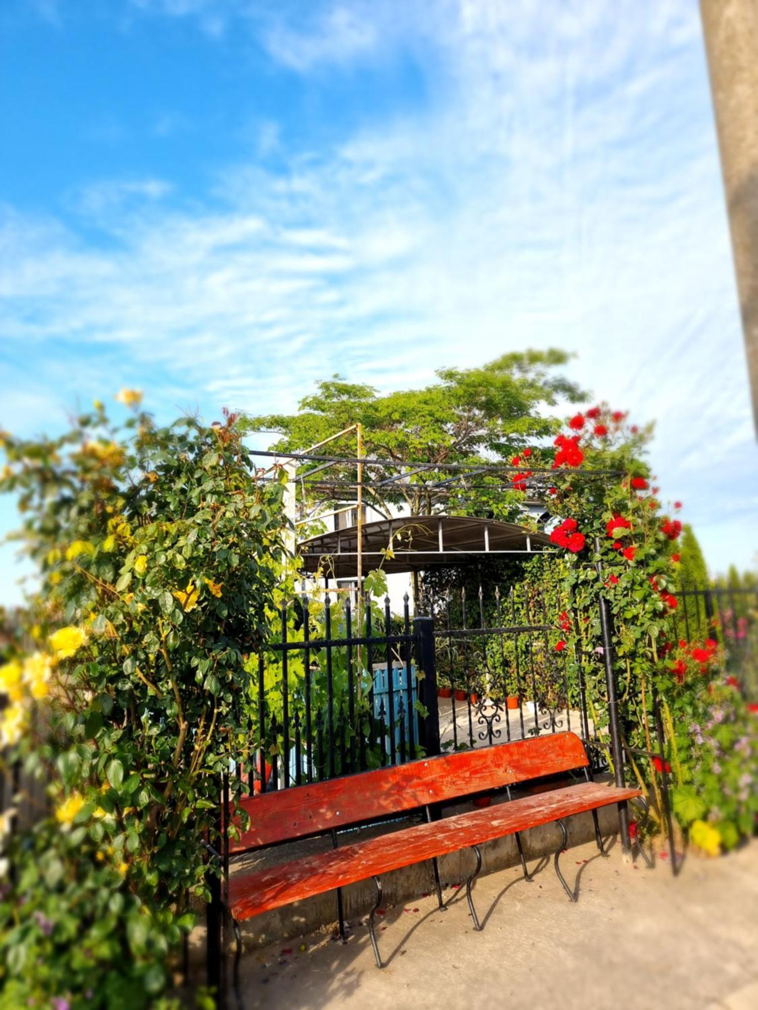 Casa Cu Trandafiri Murighiol Εξωτερικό φωτογραφία