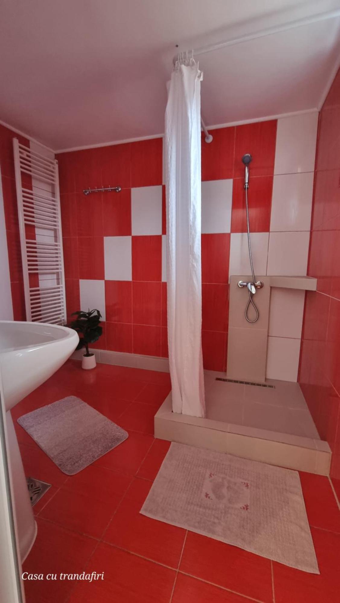Casa Cu Trandafiri Murighiol Εξωτερικό φωτογραφία